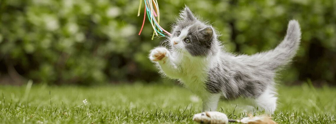 [paste advice page name here]